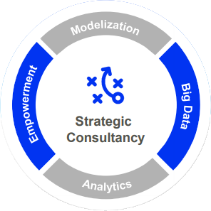 Strategic Consultancy